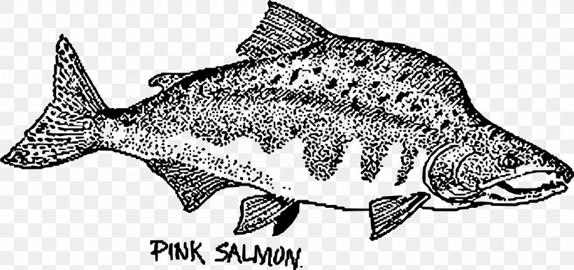 Fish Pink Salmon Chum Salmon Sockeye Salmon, PNG, 2337x1103px, Fish, Animal, Animal Figure, Black And White, Chinook Salmon Download Free