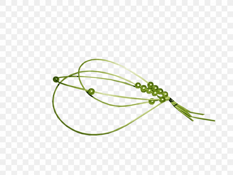Leaf Green Plant Stem Line Font, PNG, 1600x1200px, Leaf, Grass, Green, Plant, Plant Stem Download Free
