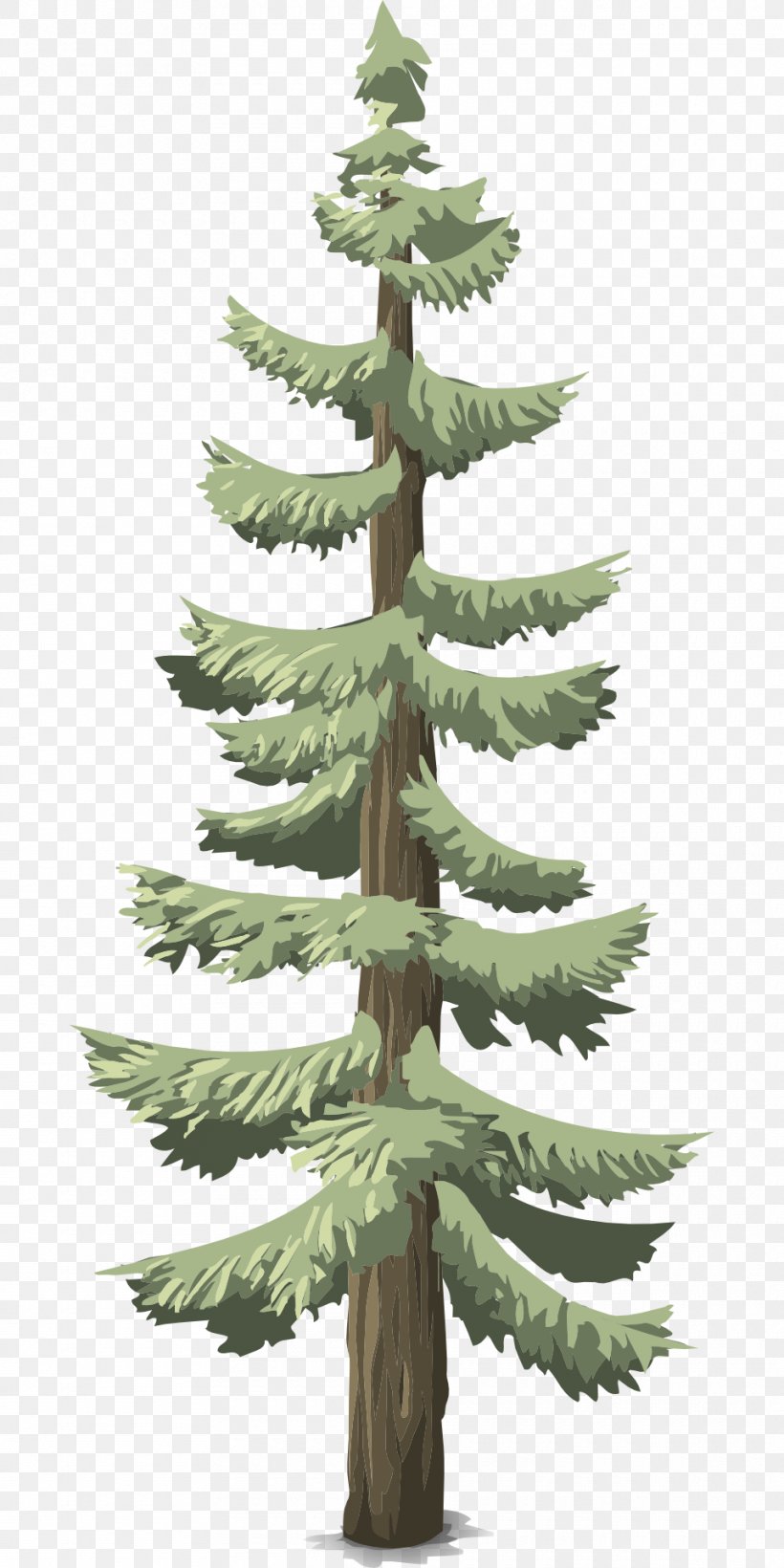 Pine Conifers Tree Conifer Cone Evergreen, PNG, 960x1920px, Pine, Branch, Christmas Decoration, Christmas Ornament, Christmas Tree Download Free