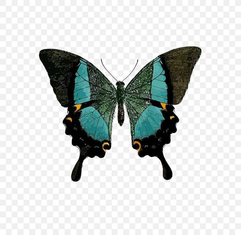 Swallowtail Butterfly Green Black Swallowtail Clip Art, PNG, 566x800px, Butterfly, Arthropod, Black Swallowtail, Blue, Bluegreen Download Free