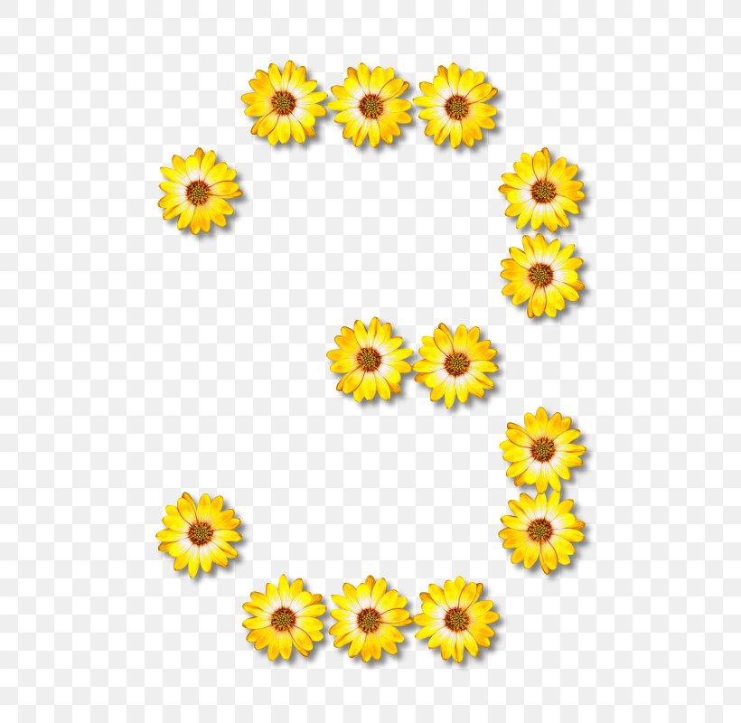 Alphabet Letter Common Sunflower Clip Art, PNG, 572x800px, Alphabet, Calendula, Chrysanths, Common Sunflower, Cut Flowers Download Free