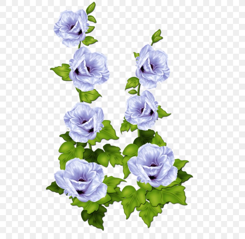 Cabbage Rose Blue Rose Garden Roses Flower, PNG, 532x800px, Cabbage Rose, Annual Plant, Artificial Flower, Baby Blue, Bellflower Family Download Free