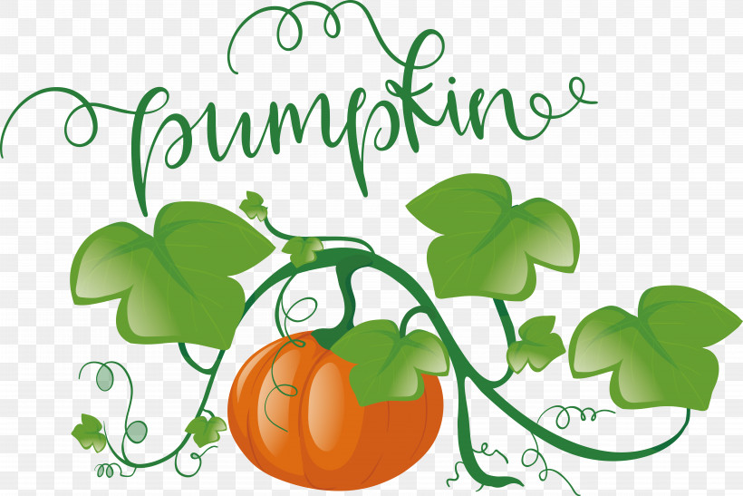 Pumpkin, PNG, 8850x5905px, Pumpkin, Autumn Download Free