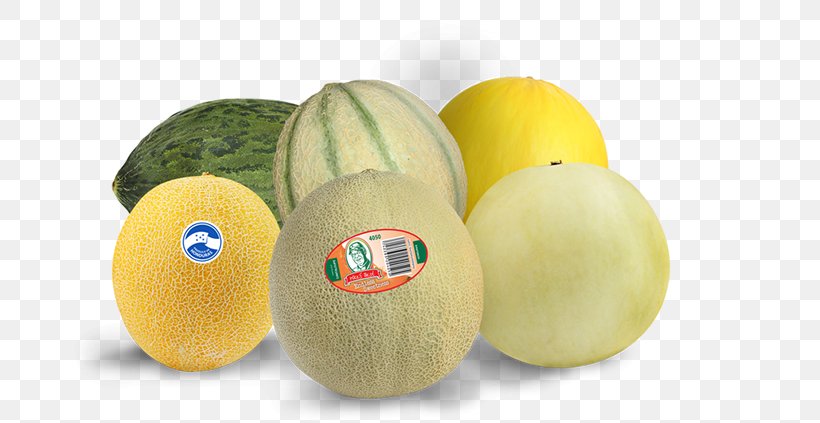 Honeydew Cantaloupe Watermelon Fruit, PNG, 676x423px, Honeydew, Berry, Cantaloupe, Citrus, Cucumber Gourd And Melon Family Download Free