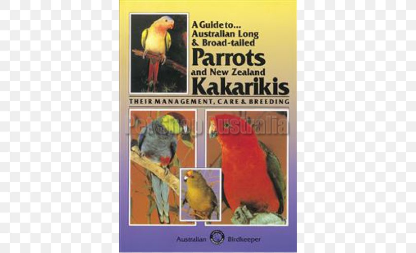 Lovebird Parrot Parakeet Cockatiel Kākāriki, PNG, 500x500px, Lovebird, Advertising, Australia, Australian Ringneck, Beak Download Free