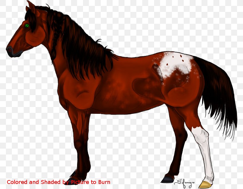 Mane Mustang Stallion Foal Colt, PNG, 782x636px, Mane, Bridle, Colt, Dog Harness, Fauna Download Free