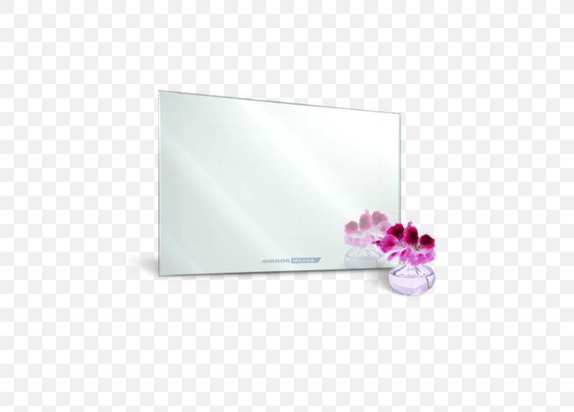 Mirror TV Television 360 Degree Trade Solution Pvt. Ltd. Manufacturing, PNG, 460x589px, Mirror Tv, Company, Delhi, Export, Flower Download Free