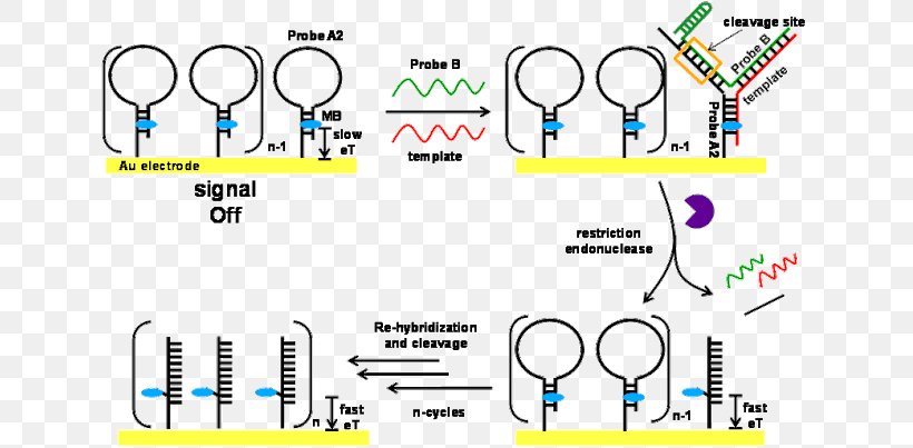 Nucleic Acid Furniture Emitter-coupled Logic, PNG, 653x403px, Nucleic Acid, Acid, Amersham, Diagram, Drawing Room Download Free