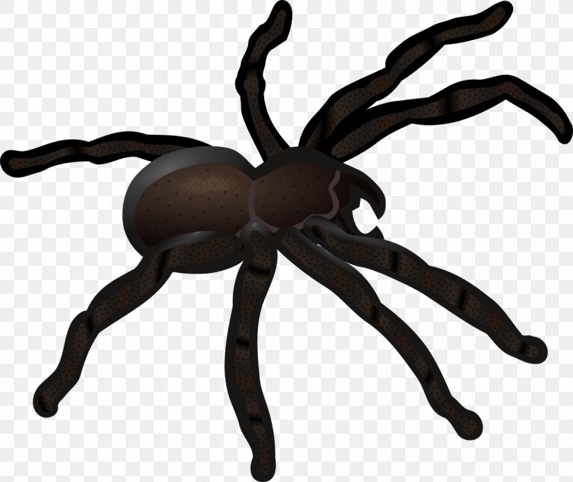 Redback Spider Spider Web Clip Art, PNG, 1280x1076px, Spider, Arachnid, Arthropod, Insect, Invertebrate Download Free