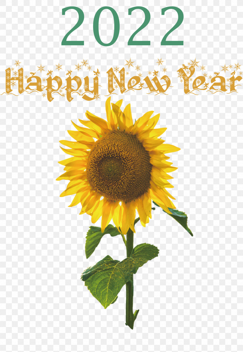 2022 Happy New Year 2022 New Year 2022, PNG, 2077x3000px, Daisy Family, Biology, Common Daisy, Common Sunflower, Cut Flowers Download Free