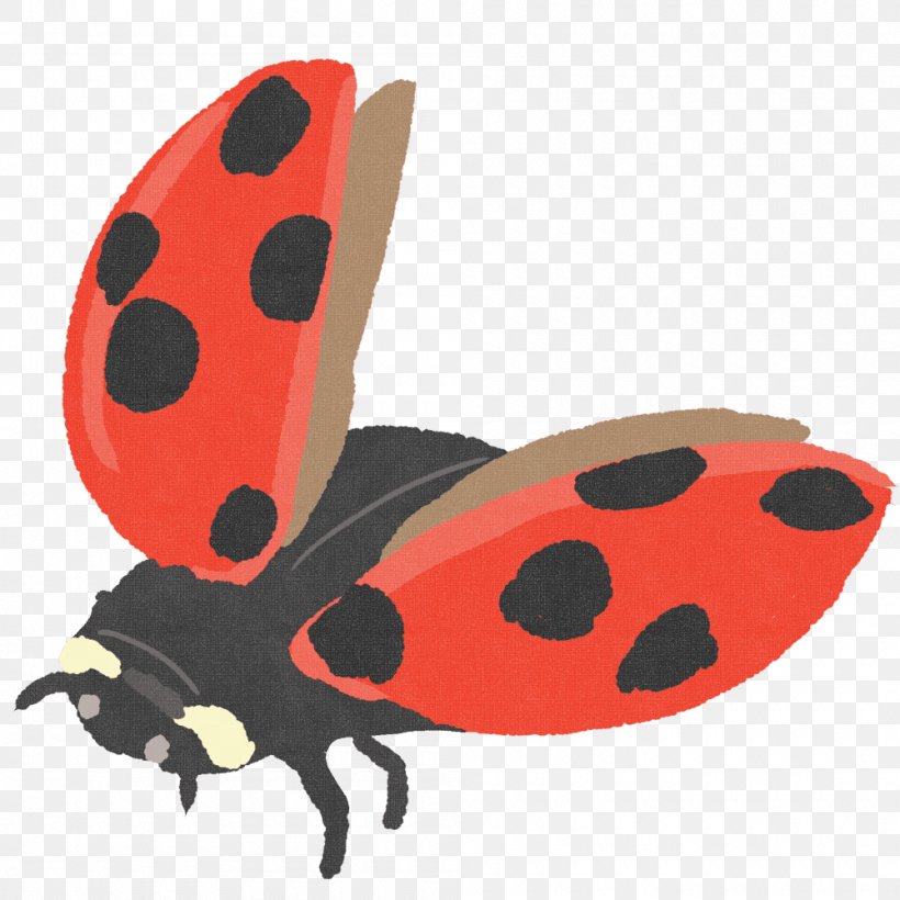 Illustration Ladybird Beetle Product Design Clip Art, PNG, 1000x1000px, Ladybird Beetle, Butterfly, Insect, Invertebrate, Ladybird Download Free
