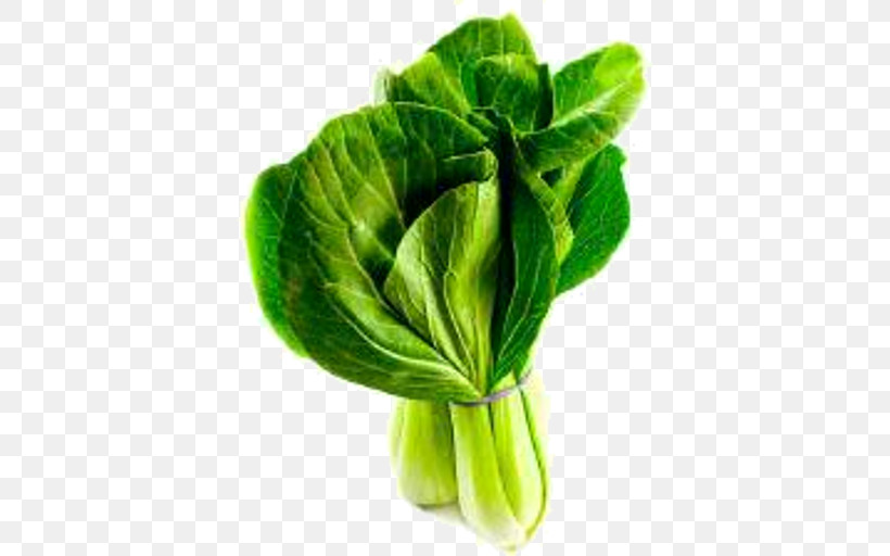 Leaf Vegetable Green Plant Leaf Vegetable, PNG, 512x512px, Leaf, Chinese Cabbage, Choy Sum, Flower, Food Download Free