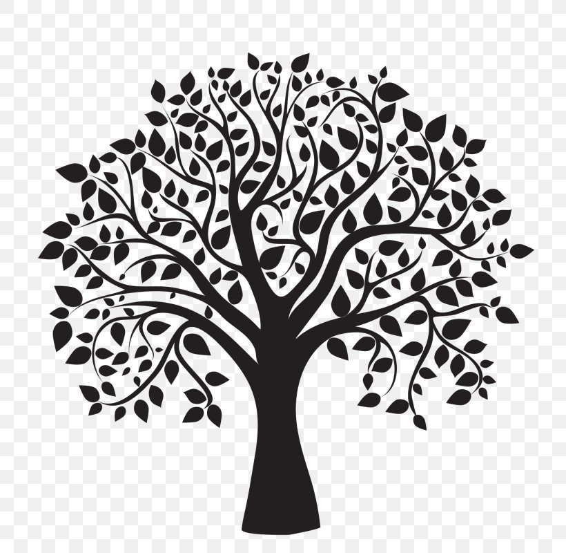 Tree White Royalty-free Clip Art, PNG, 800x800px, Tree, Black And White, Branch, Drawing, Flower Download Free