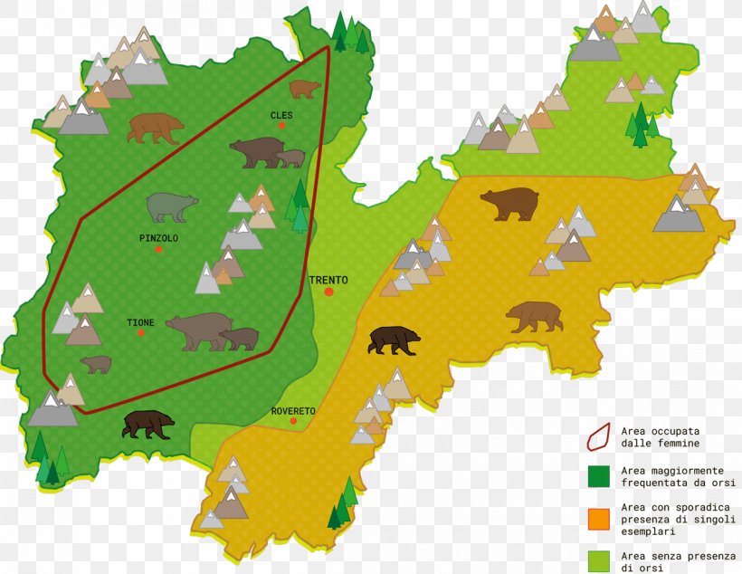 Trento Brown Bear Samone, Trentino Spera, PNG, 1200x929px, Trento, Area, Bear, Brown Bear, Burrow Download Free