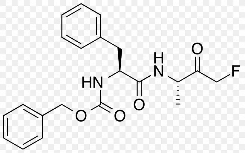 Albuterol Drug Metabolism CYP2D6 Pharmaceutical Drug, PNG, 1577x984px, Albuterol, Area, Biochemistry, Black And White, Brand Download Free