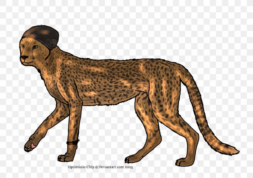 Cheetah Lion Cat Dog Terrestrial Animal, PNG, 1006x709px, Cheetah, Animal, Animal Figure, Big Cat, Big Cats Download Free