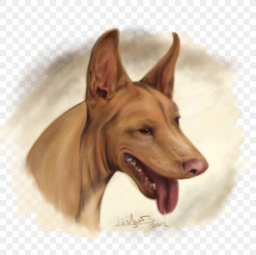 Dog Breed Pharaoh Hound Pariah Dog Domestic Pig Ear, PNG, 895x892px, Watercolor, Cartoon, Flower, Frame, Heart Download Free