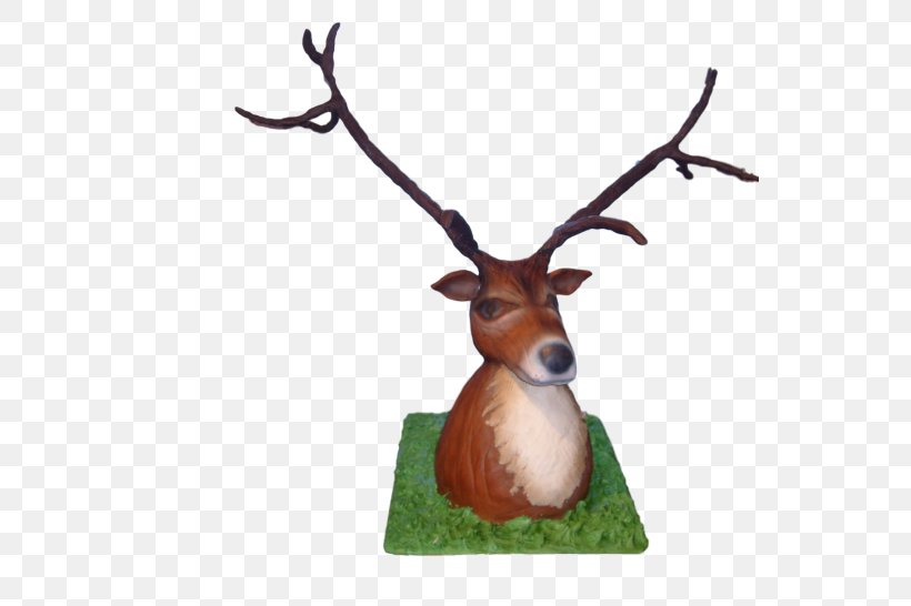 Reindeer Antler Wildlife, PNG, 546x546px, Reindeer, Antler, Deer, Horn, Wildlife Download Free