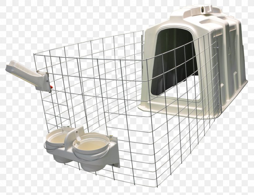 Calf Plastic Hutch Pen Bucket, PNG, 1007x772px, Calf, Animal Shelter, Bucket, Chainlink Fencing, Dairy Download Free