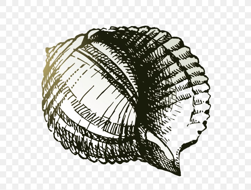 Drawing Sea Snail Painting, PNG, 685x621px, Drawing, Black And White, Cartoon, Mu1ef9 Thuu1eadt, Painting Download Free