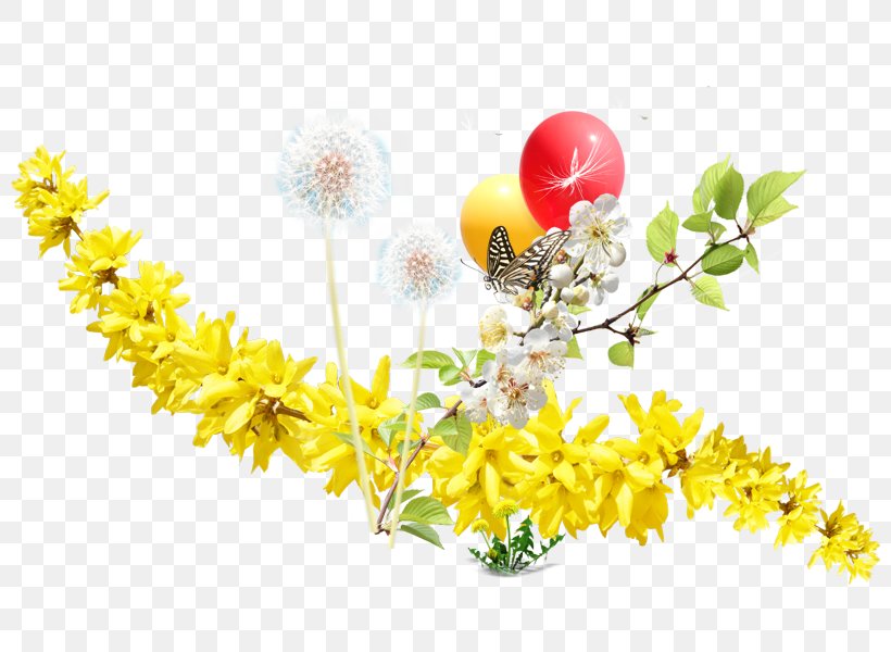 Floral Design Dandelion Information, PNG, 800x600px, Floral Design, Authorstream, Branch, Dandelion, Flora Download Free