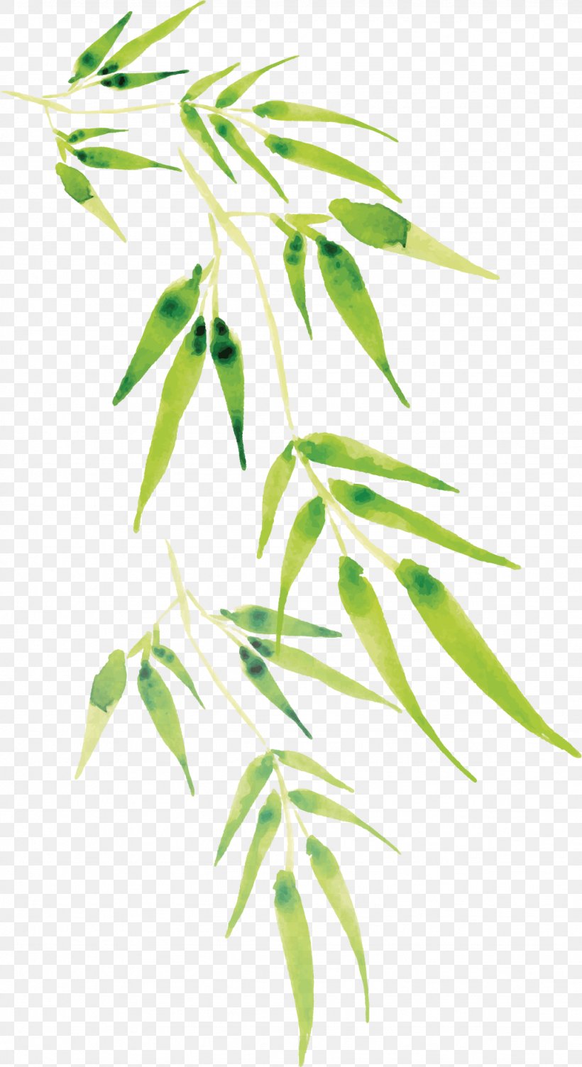 Cartoon Bamboo Vector, PNG, 1024x1879px, Drawing, Art, Bamboo, Branch, Cartoon Download Free