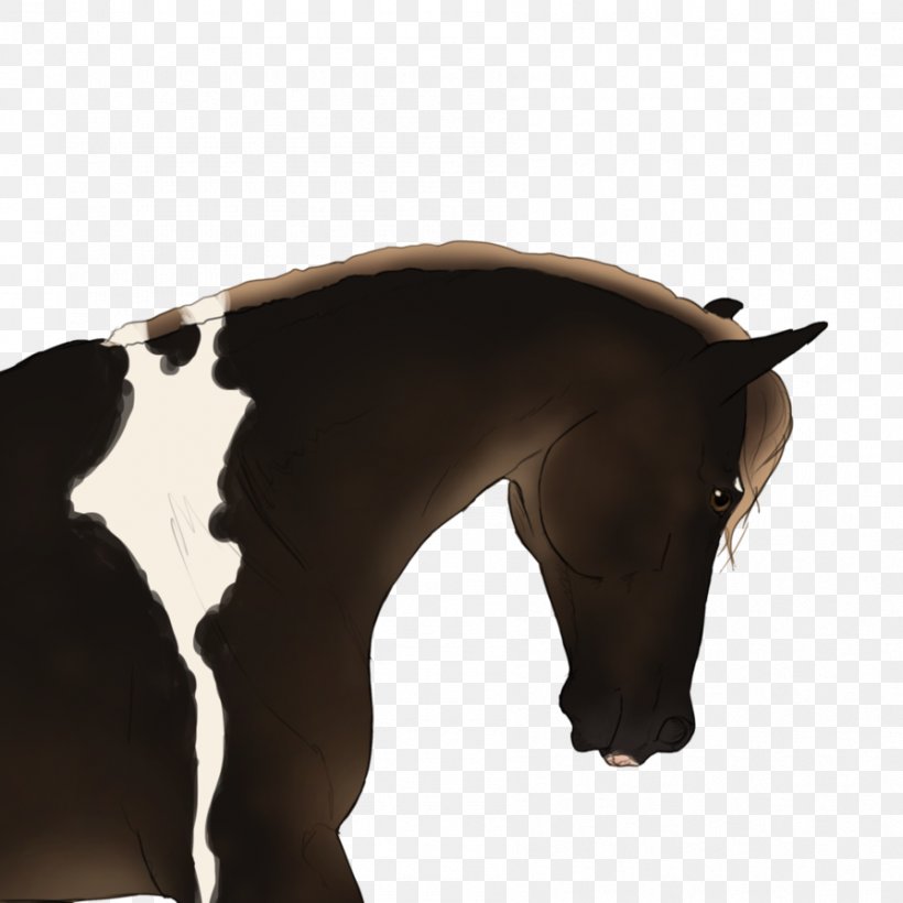 Mustang Stallion Rein Halter Snout, PNG, 894x894px, Mustang, Animal Figure, Beige, Brown, Fur Download Free