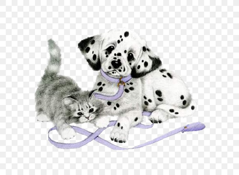 Dalmatian Dog Puppy Cat Clip Art, PNG, 600x600px, Dalmatian Dog, Animal, Animation, Blog, Carnivoran Download Free