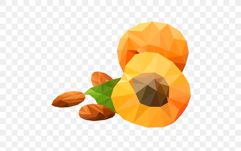 Festival Sustainable Development Organization Natural Environment Nature, PNG, 512x512px, Festival, Conservation, Drawing, Fruit, Low Poly Download Free