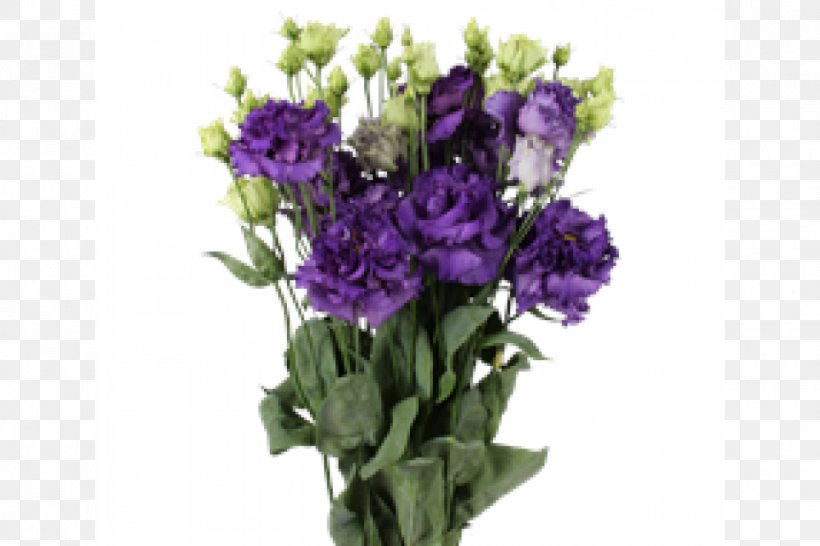 Purple Prairie Gentian Floral Design Cut Flowers, PNG, 1000x667px, Purple, Artificial Flower, Blue, Cut Flowers, Floral Design Download Free