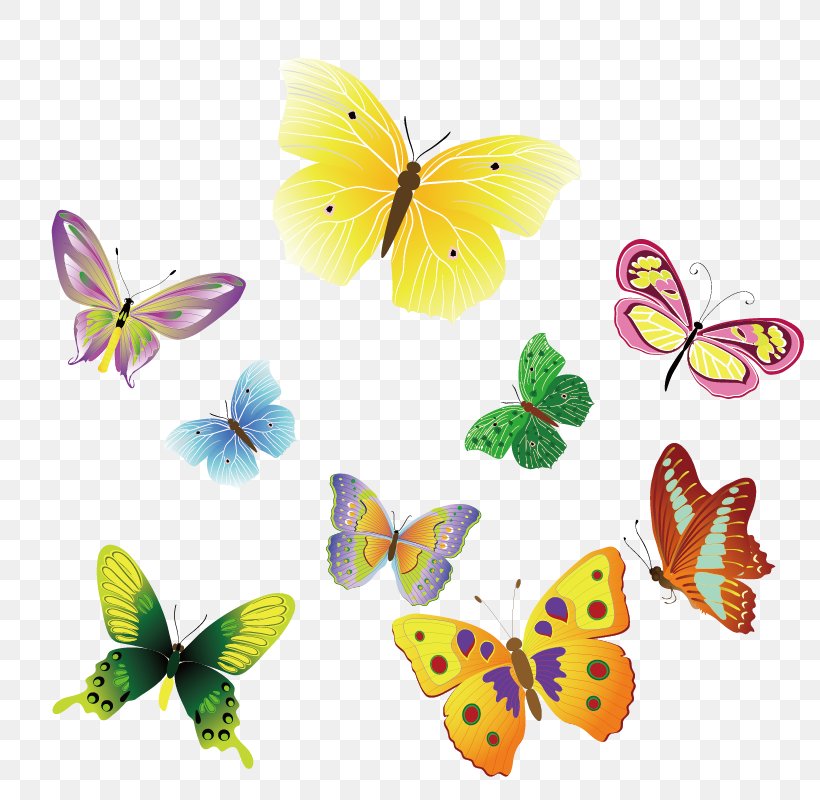 Butterfly Insect Euclidean Vector Clip Art, PNG, 800x800px, Butterfly, Brush Footed Butterfly, Butterflies And Moths, Flower, Insect Download Free