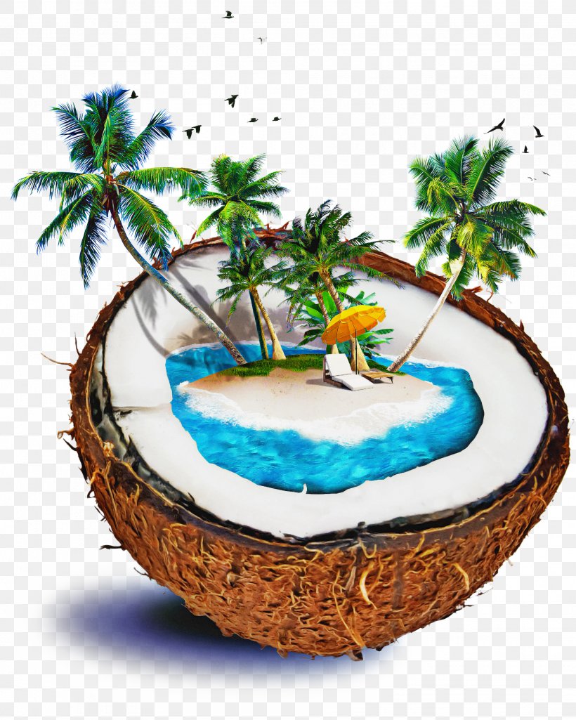 Coconut Tree Cartoon, PNG, 1989x2487px, Hotel, Arecales, City, Coconut, Flowerpot Download Free