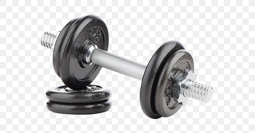 Dumbbell Physical Fitness Fitness Centre Exercise Equipment, PNG, 650x427px, Dumbbell, Bench, Bosu, Crossfit, Exercise Download Free