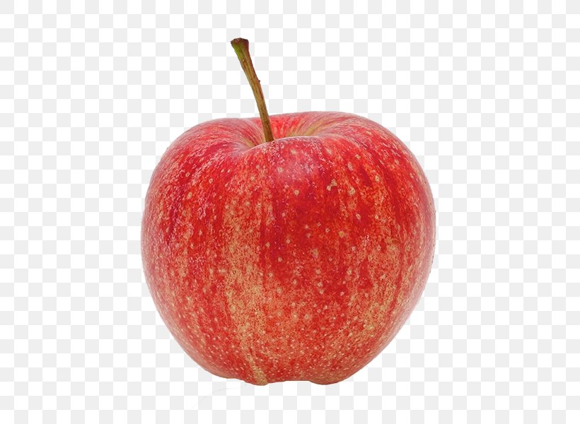 McIntosh Apple Juice Gala Red Delicious, PNG, 600x600px, Mcintosh, Accessory Fruit, Apple, Apple Juice, Braeburn Download Free