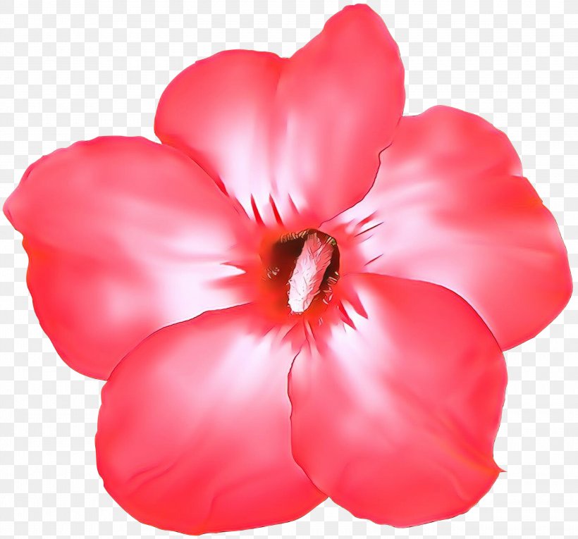Petal Pink Red Flower Plant, PNG, 3000x2801px, Cartoon, Flower, Flowering Plant, Herbaceous Plant, Impatiens Download Free