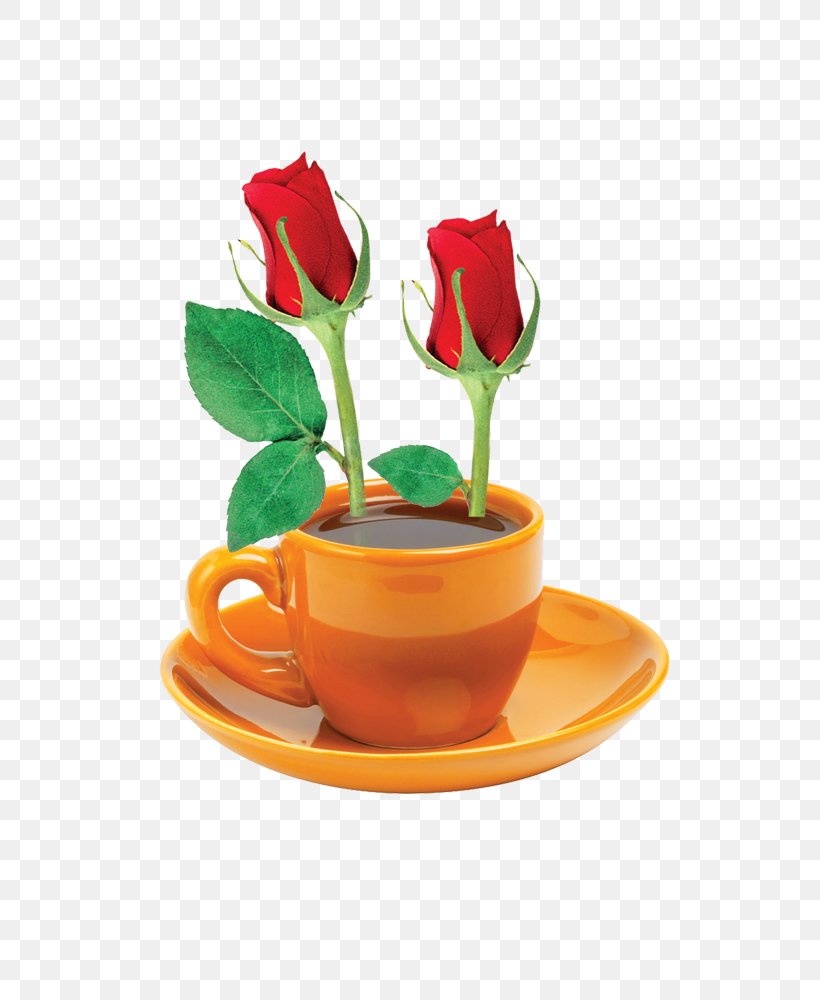 Coffee, PNG, 600x1000px, Coffee, Coffee Cup, Cup, Floral Design, Floristry Download Free