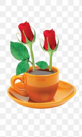 Coffee Rose - Coffee PNG
