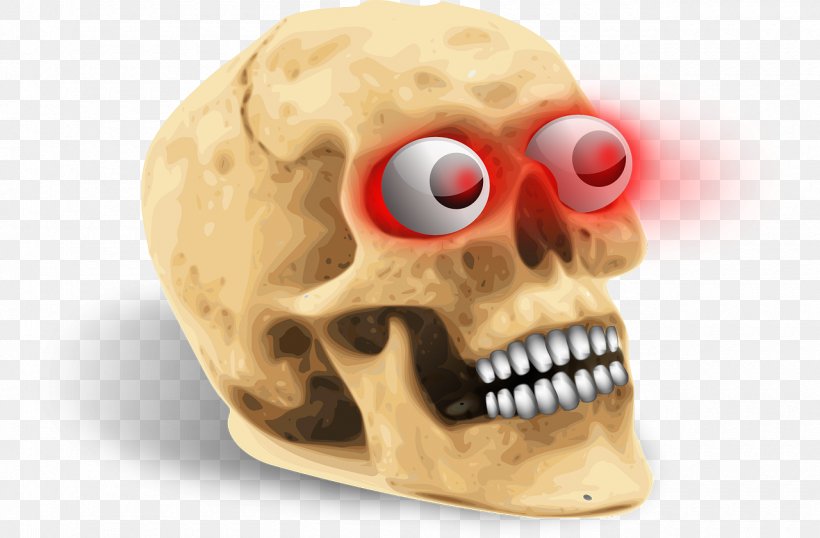 Human Skull Symbolism Human Skeleton, PNG, 1280x840px, Human Skull Symbolism, Bone, Drawing, Eye, Facial Skeleton Download Free
