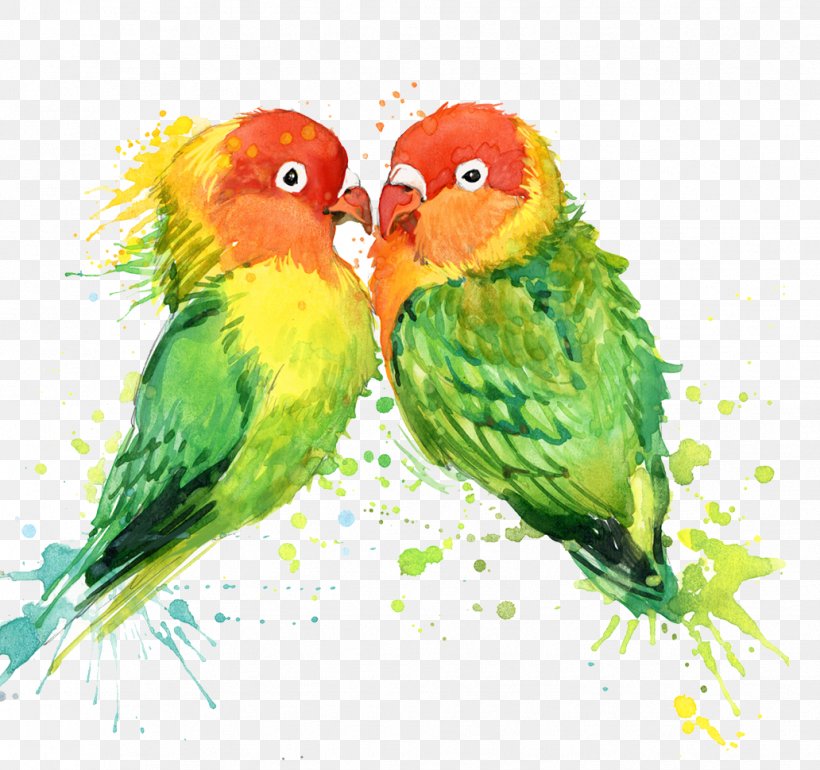 Lovebird Parrot T-shirt Watercolor Painting, PNG, 1032x970px, Lovebird, Abstract Art, Art, Beak, Bird Download Free