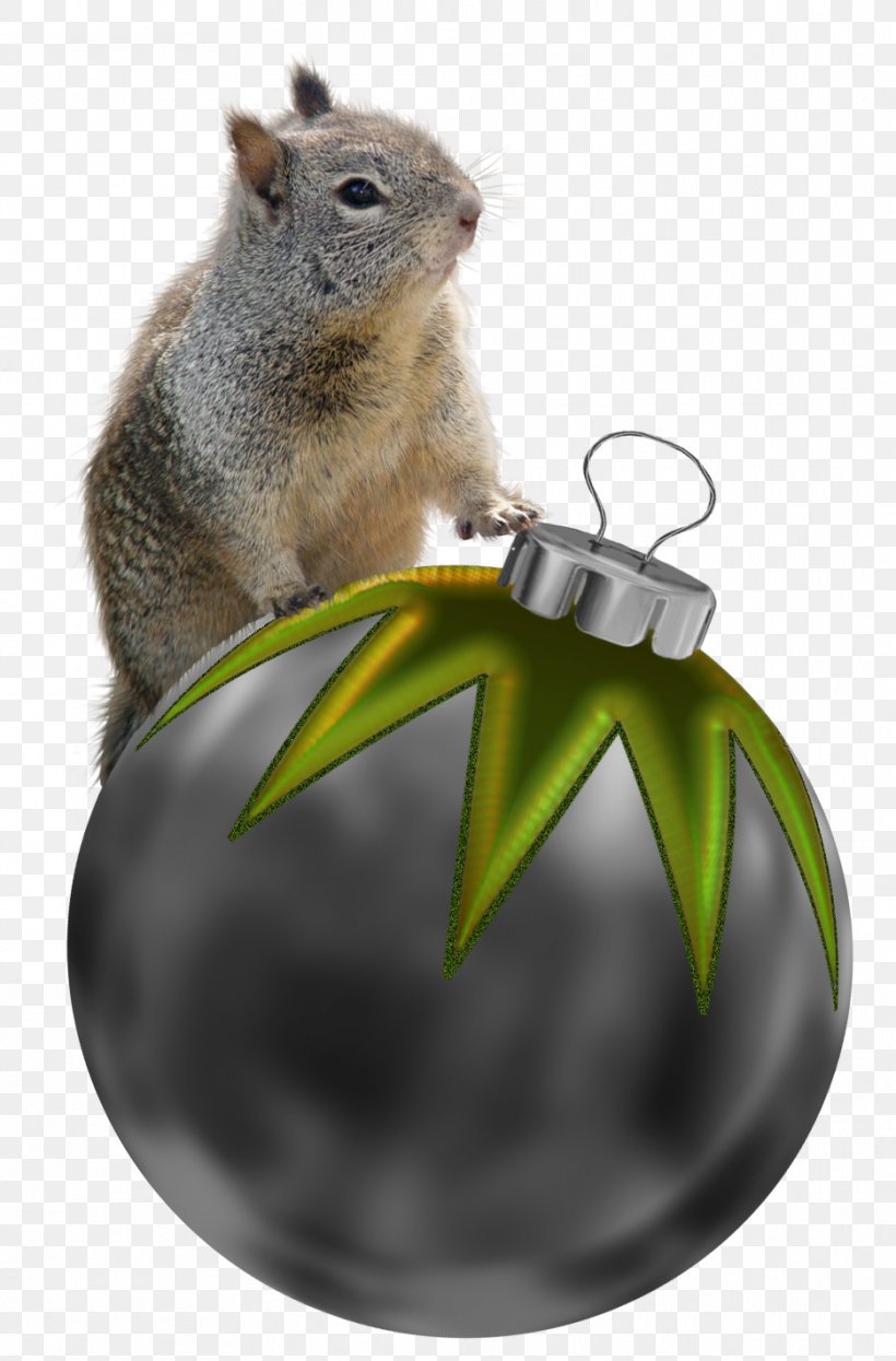 Squirrel Christmas Decoration, PNG, 935x1420px, Squirrel, Chipmunk, Christmas, Christmas Decoration, Christmas Ornament Download Free