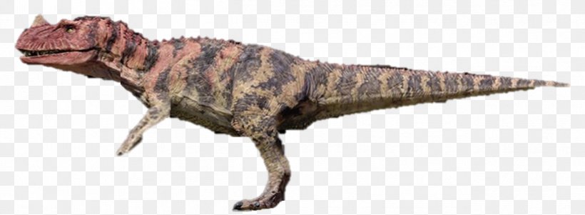 Tyrannosaurus Ceratosaurus Velociraptor Spinosaurus Segisaurus, PNG, 1263x465px, Tyrannosaurus, Abelisaurus, Animal Figure, Ceratosaurus, Dilophosaurus Download Free