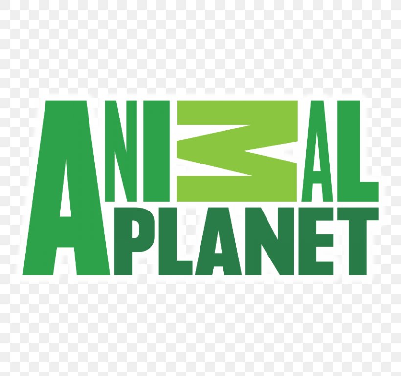 Animal Planet Logo Television Channel, PNG, 768x768px, Animal Planet, Animal Planet Hd, Area, Artwork, Brand Download Free