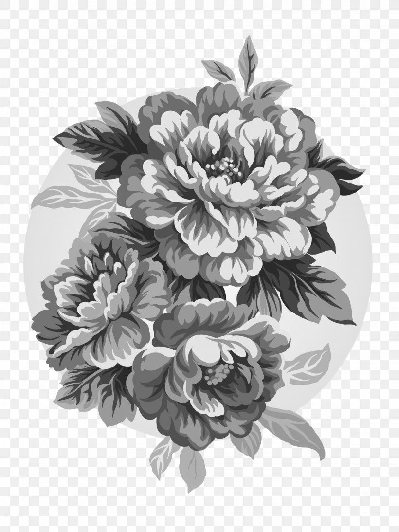 Peony Drawing Paeonia Lactiflora Clip Art, PNG, 2250x3000px, Peony, Black And White, Chrysanths, Cut Flowers, Dahlia Download Free
