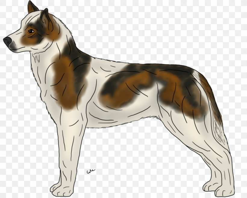 Ancient Dog Breeds Companion Dog Rough Collie, PNG, 998x800px, Dog Breed, Ancient Dog Breeds, Breed, Carnivoran, Collie Download Free
