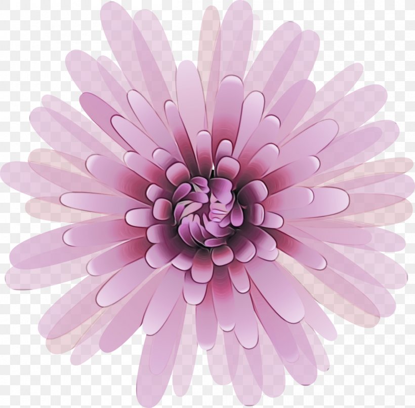 Daisy, PNG, 1200x1179px, Watercolor, Daisy, Daisy Family, Flower, Flowering Plant Download Free