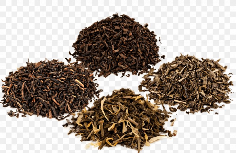Dianhong Nilgiri Tea Golden Monkey Tea Green Tea, PNG, 920x596px, Dianhong, Assam Tea, Bancha, Black Tea, Ceylon Tea Download Free