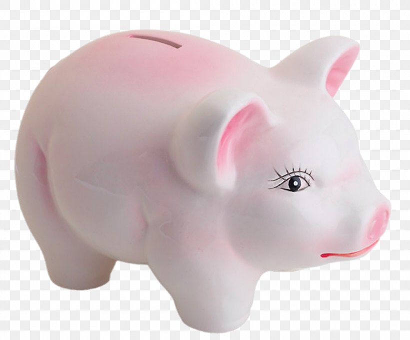 Domestic Pig Snout Piggy Bank, PNG, 1000x829px, Domestic Pig, Bank, Mammal, Nose, Pig Download Free