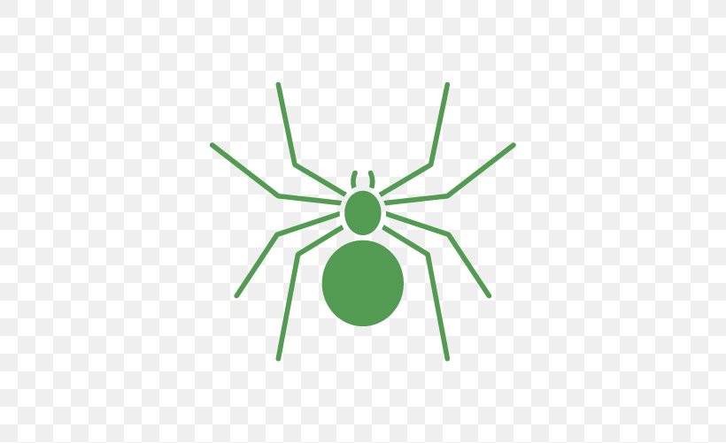 Insect Clip Art Product Angle Logo, PNG, 501x501px, Insect, Green, Logo, Spider, Symmetry Download Free