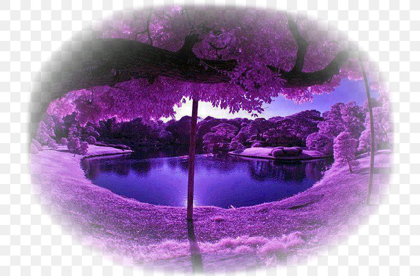 Nature Landscape Purple Violet Color, PNG, 720x540px, Nature, Blue, Cloud, Color, Green Download Free