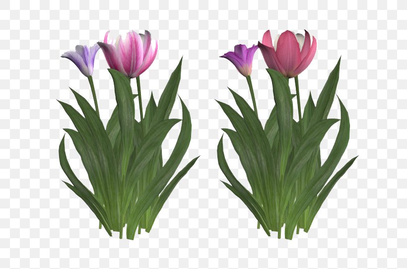 Tulip Flower Clip Art, PNG, 760x542px, Tulip, Cut Flowers, Designer, Floral Design, Floristry Download Free